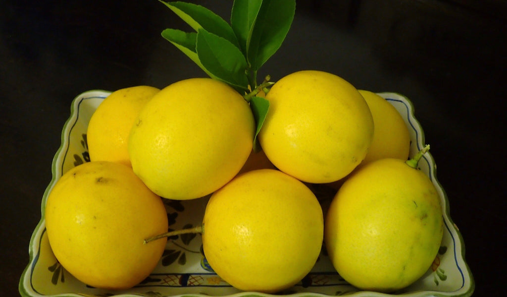 Lovely Lemon Harvest