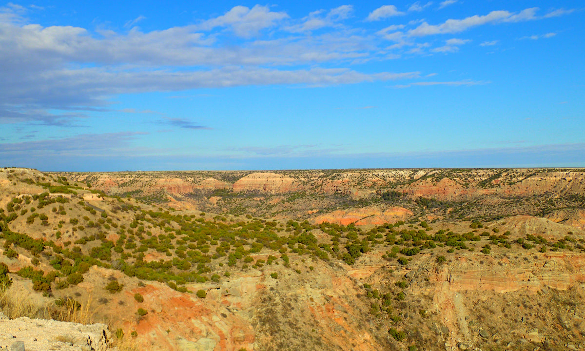 Palo Duro Canyon Part 1 The Botanical Journey