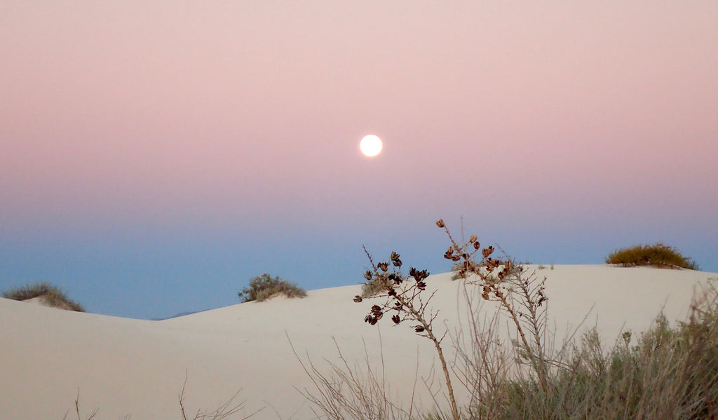 A Year Round Winter Landscape: White Sands National Monument